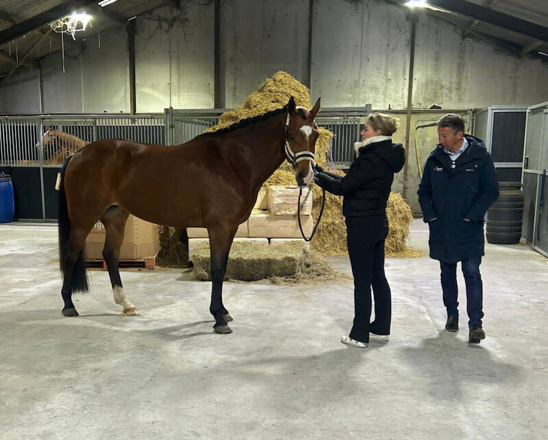 Thuiskeuring Groningen: twee merries ster-exterieur
