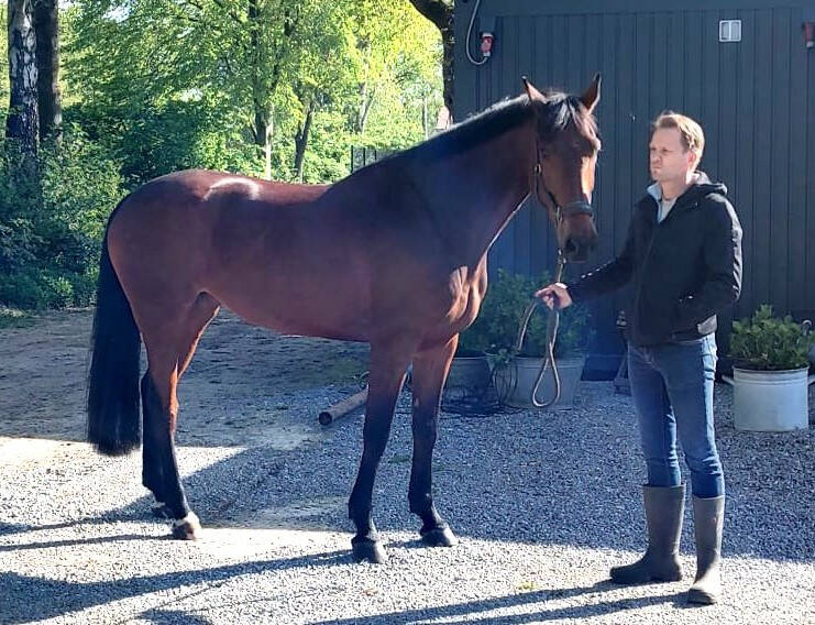 Thuiskeuring Drenthe: 80 punten voor Harley VDL-dochter New Vamosa