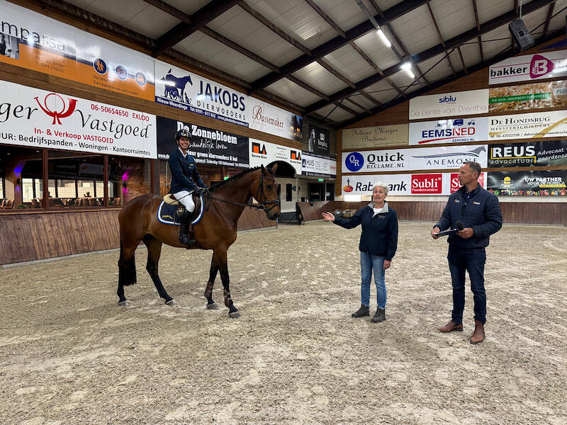 IBOP Exloo: Sympathieke Royal Marein S (v.Mac Madison) scoort 81,5 punten