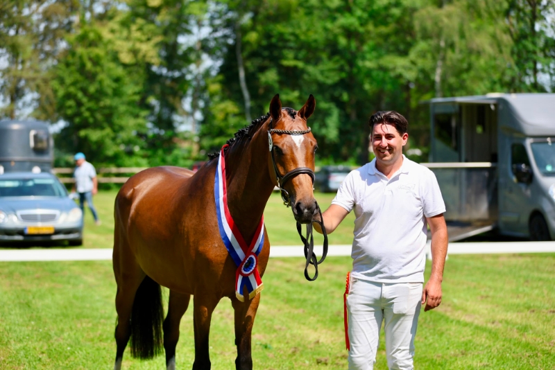 Turfhorst Chorley VDL eerste kampioen keuring Jong KWPN