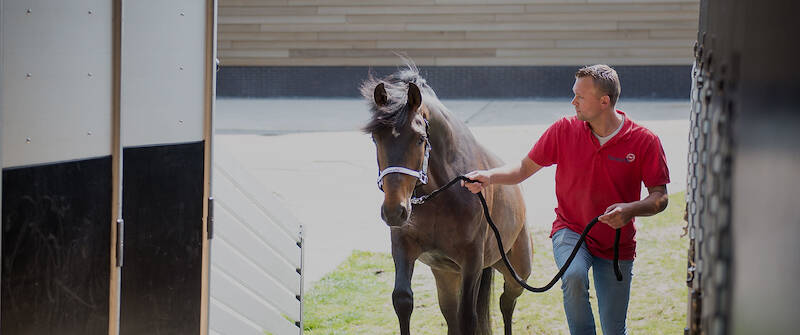 Veilig en professioneel over de grens met Horses2fly