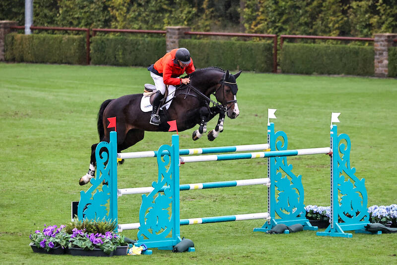 Tweede zilveren medaille in Valkenswaard voor KWPN