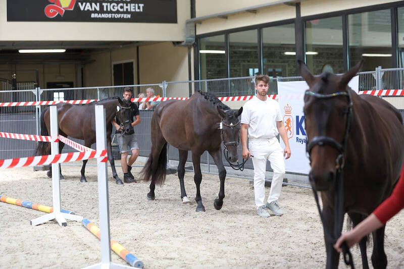 SK België: hoogste punten voor Siena Donna