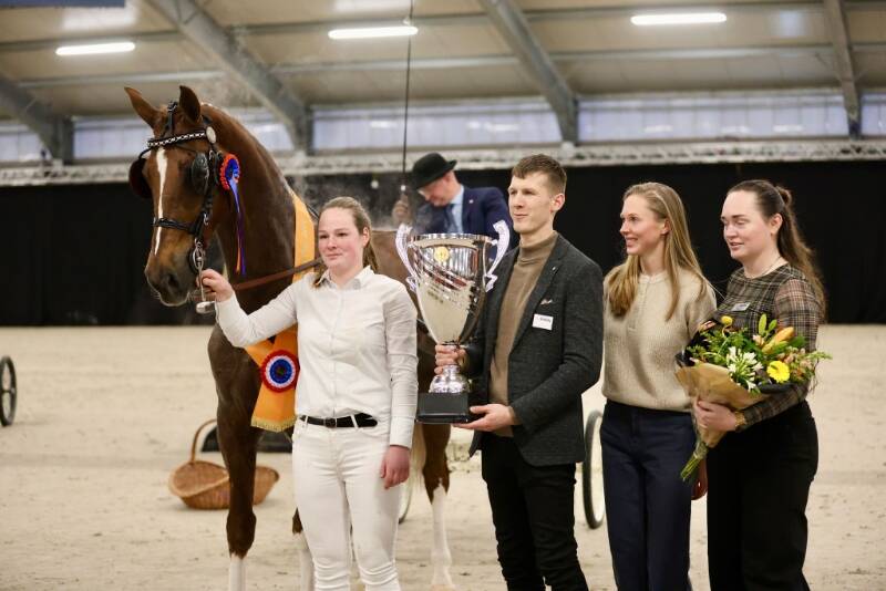 HK TP: Olympus PSH wint de Tribute Cup voor de tweede keer